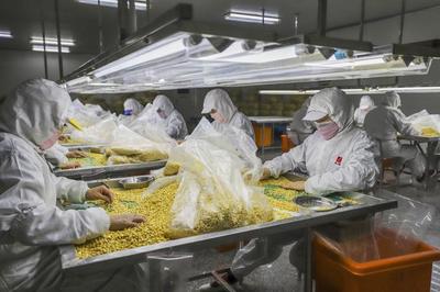 绍兴市东海食品恢复产能赶制订单