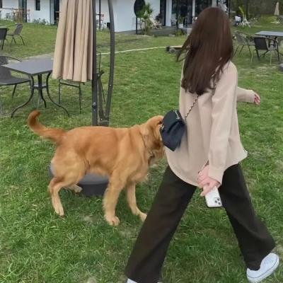 伦敦呼叫